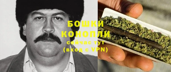шишки Алексеевка